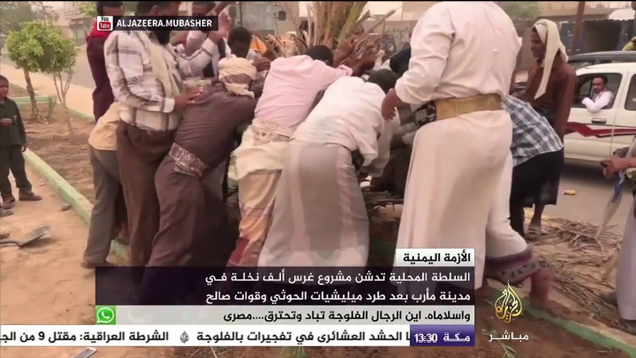 مشروع غرس ألف نخلة في مدينة مأرب