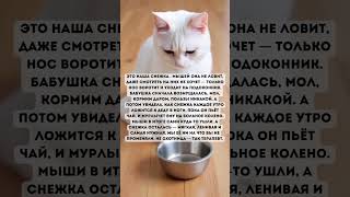 Душевная история. У каждого свой талант