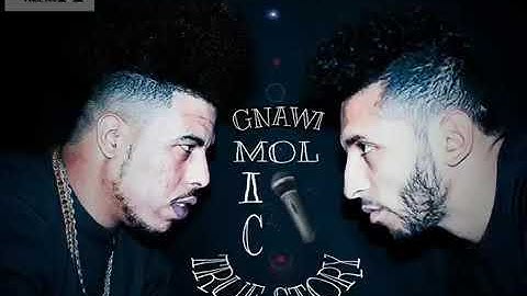 Gnawi ft. Mol Mic - True Story ( audio)