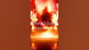 قل ان الاولين والاخرين لمجموعون ياسر الدوسري سورة الواقعة #ياسر_الدوسري #القرآن_الكريم #سورة_الواقعة