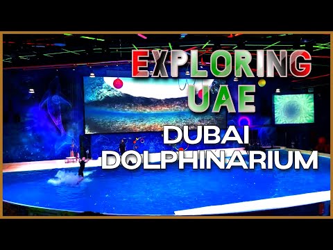 YOU MUST KNOW BEFORE VISITING  DUBAI DOLPHINARIUM 2022 | WHERE TO GO IN DUBAI | VLOG#13
