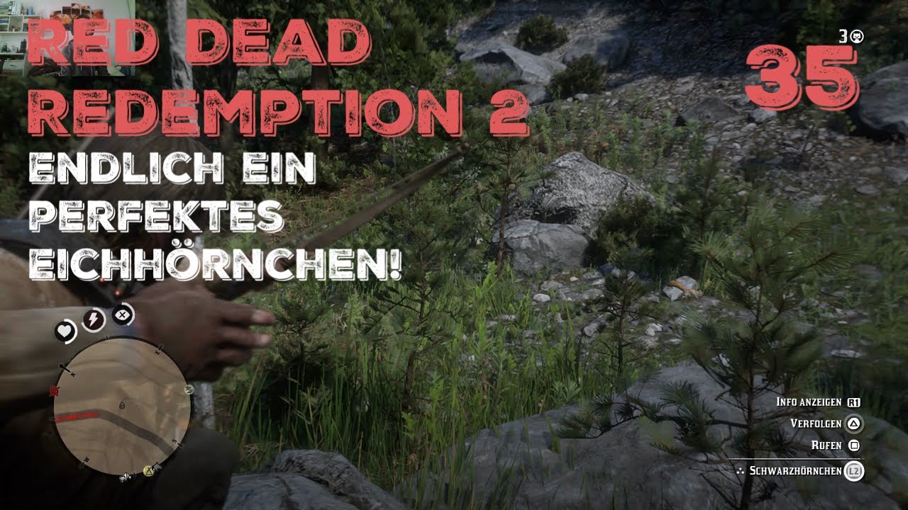 Red Dead Redemption 2 Eichhrnchen Perfekt