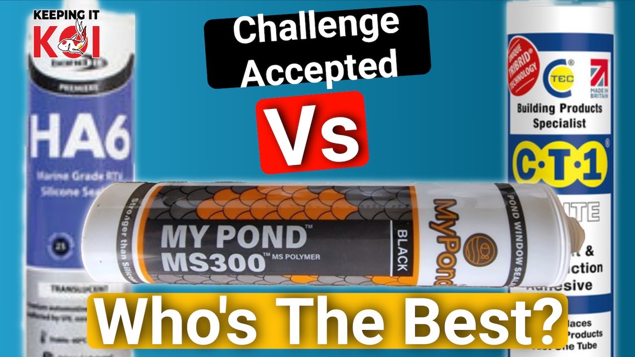 MS300 vs CT1 vs HA6 Putting 3 Pond Silicones/Sealants to the Test - YouTube