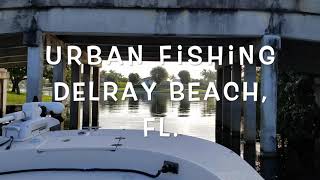 Delray Beach Fishing