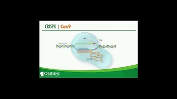 Why is CRISPR important? #shorts