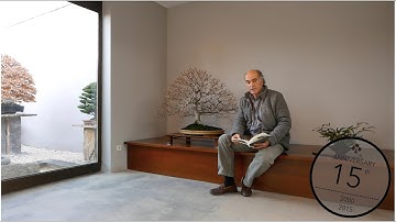 When to repot and prune roots of a Bonsai, Luis Vallejo