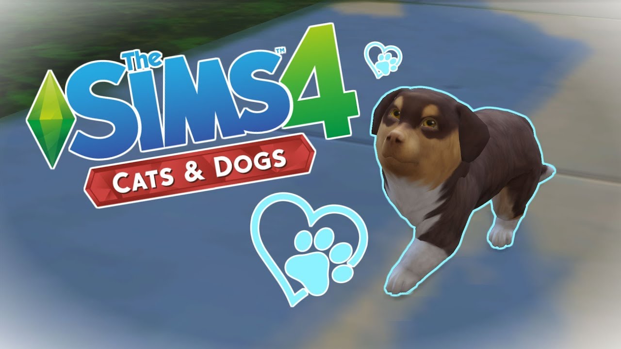 sims 4 melanin pack update cats and dogs