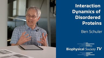 Interaction Dynamics of Disordered Proteins | Ben Schuler