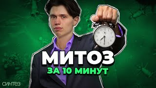 Митоз за 10 минут ЕГЭ БИОЛОГИЯ