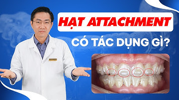 Hạt Attachment Trong Niềng Răng Khay Trong Suốt Có Tác Dụng Gì? | Nam Bui Vinalign