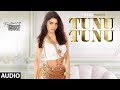 Full audio  tunu tunu  sherlyn chopra feat vicky  hardik  sukriti kakar