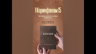 1 Коринфянам 15:45-49 | Моя Библия Shorts