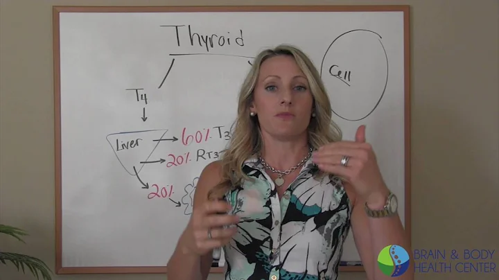 How T4 gets converted to T3