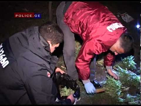 შსსმ  თელავში ოპიუმი-ს შემცველი 5,565 კგ ყაყაჩო ამოიღო