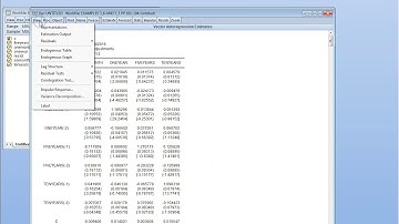 Impulse response function - Eviews