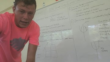 AMB 7th Grade Life Science - Mendel and his Peas Review (Part 1/2)