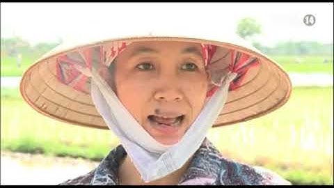 Nhà Máy Xả Nước Thải Độc Hại Ra Môi Trường