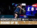 PETRONAS Malaysia Open 2026 Pusarla V Sindhu IND Vs Tomoka Miyazaki JPN 8 R16