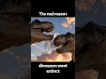 The real reason dinosaurs went extinct #dinosaurs #memes #funny #calendar #productivity #windows