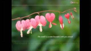 tere liye kailah kher  full song by prince rajdev