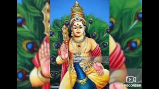 Yarum Illa Endru Sonnal Kandhan Varuvan யாரும் இல்லை என்று சொன்னால் கந்தன் வருவான் #murugan #tamilgo