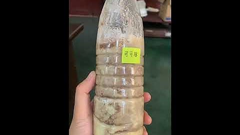 LST cocoa butter press