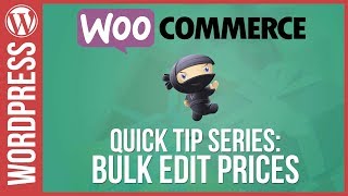 Woocommerce: Bulk Edit / Update Prices