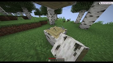 Minecraft Server - Ubuntu 24.04 LTS