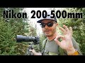 My Experience With the Nikon 200-500mm Lens | Do I Recommend It?
