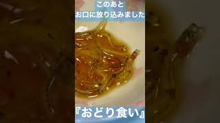 踊り食いはポン酢で‼️【春の風物詩】白魚 しらうお 佐賀 長崎県産(生産者・田中豊司)3/14店頭で発見