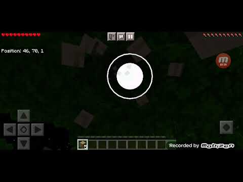 ვთამაშობ-MINECRAFT