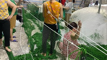 Lưới kéo cá dù thái Lan  CHUYÊN KÉO CÁ THỊT