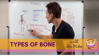 Types of Bones