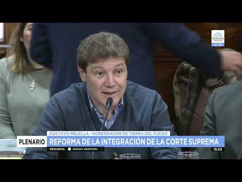 GUSTAVO MELELLA - PLENARIO DE JUSTICIA Y AS  CONSTITUCIONALES 29-06-22