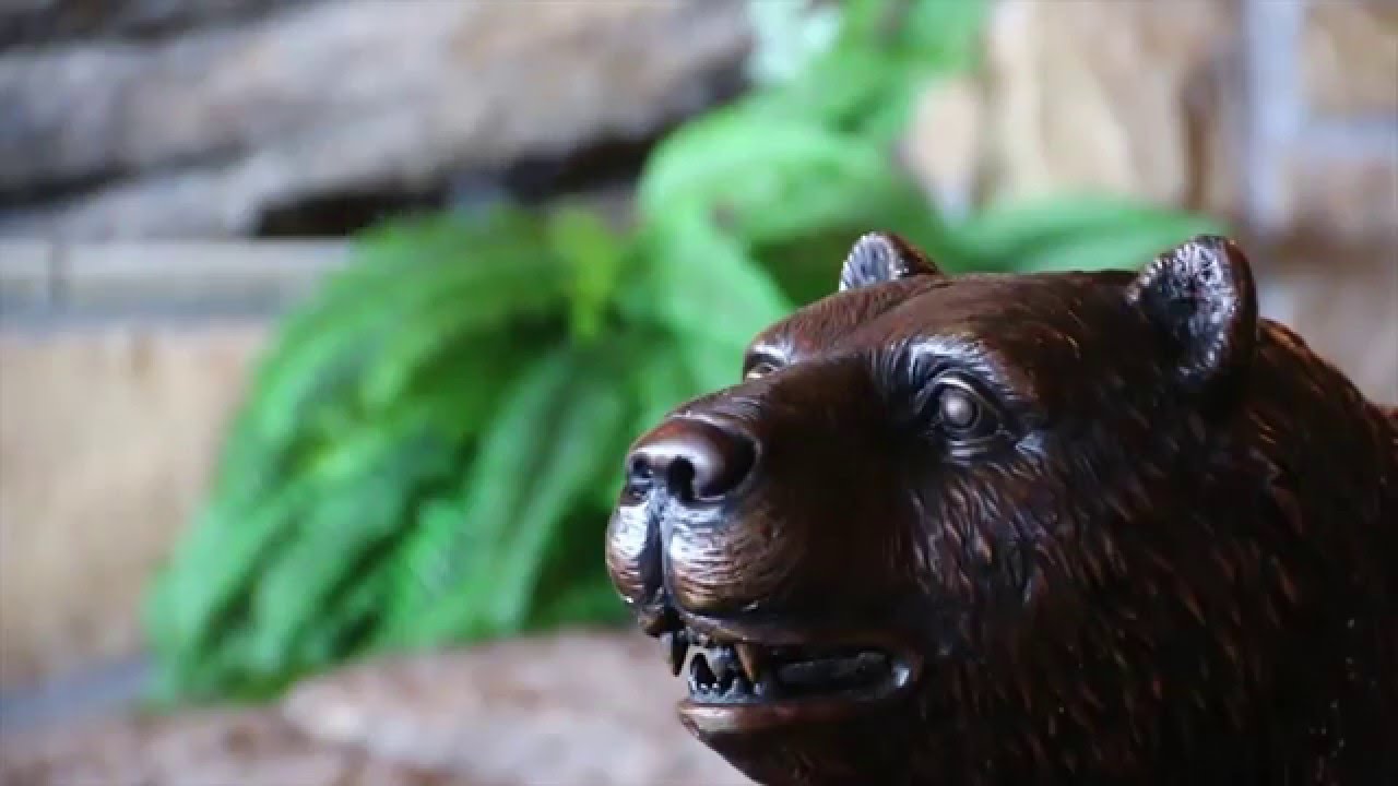 pinnacle ash 20 review