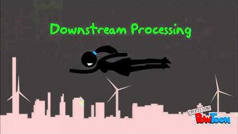 Production of Protease