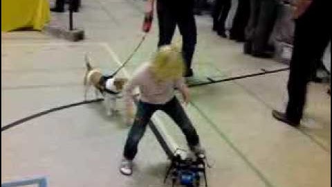 SCOUT-SPIDER LEGO autonomous walking robot at LFW Skærbæk 2009 technic mindstorms