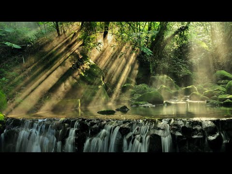Nature Sounds of River & Waterfall | Healing White Noise