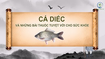 Cá diếc và những bài thuốc tuyệt vời cho sức khoẻ #viralvideo #thuốc #thuocnam #trending #fypシ゚viral