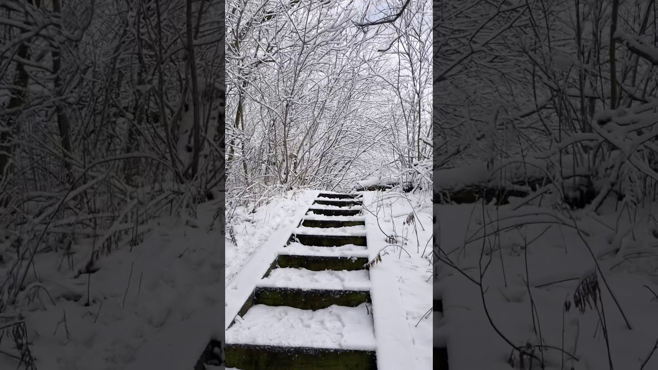 Winter Hiking@Toronto