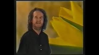 Lech Kis Stawski - Żółte tulipany