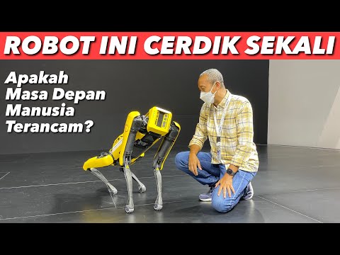 Video: 5 Perusahaan Terbaik untuk Pecinta Anjing untuk Bekerja Di