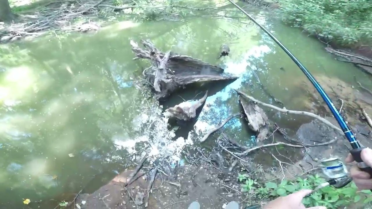 big splash #fishing #bassfishing #goodlife #302
