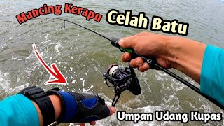 Mancing Kerapu Di Celah-Celah Batu Pinggir Laut
