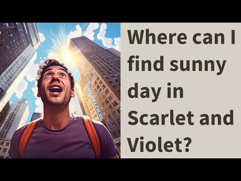 ვიდეო: როგორ მივიღოთ მზიანი დღე ცეცხლოვან წითელში?