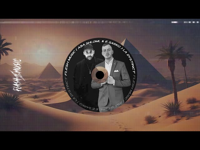 La dystinct - Flash Music ( ABBA & E.Sarko )