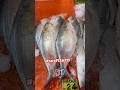 [4K]HONIARA SOLOMON ISLANDS FISH ALWAYS FRESH &amp; CHEAPEST BY THE ROADSIDE #shortvideo #shorts
