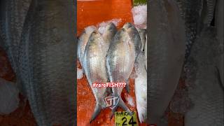 [4K]HONIARA SOLOMON ISLANDS FISH ALWAYS FRESH &amp; CHEAPEST BY THE ROADSIDE #shortvideo #shorts