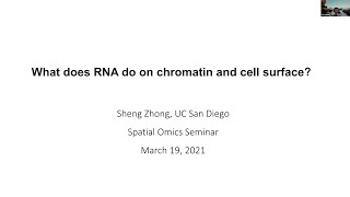 What does RNA do on chromatin and cell surface? (Speaker: Sheng Zhong, UC San Diego) screenshot 1
