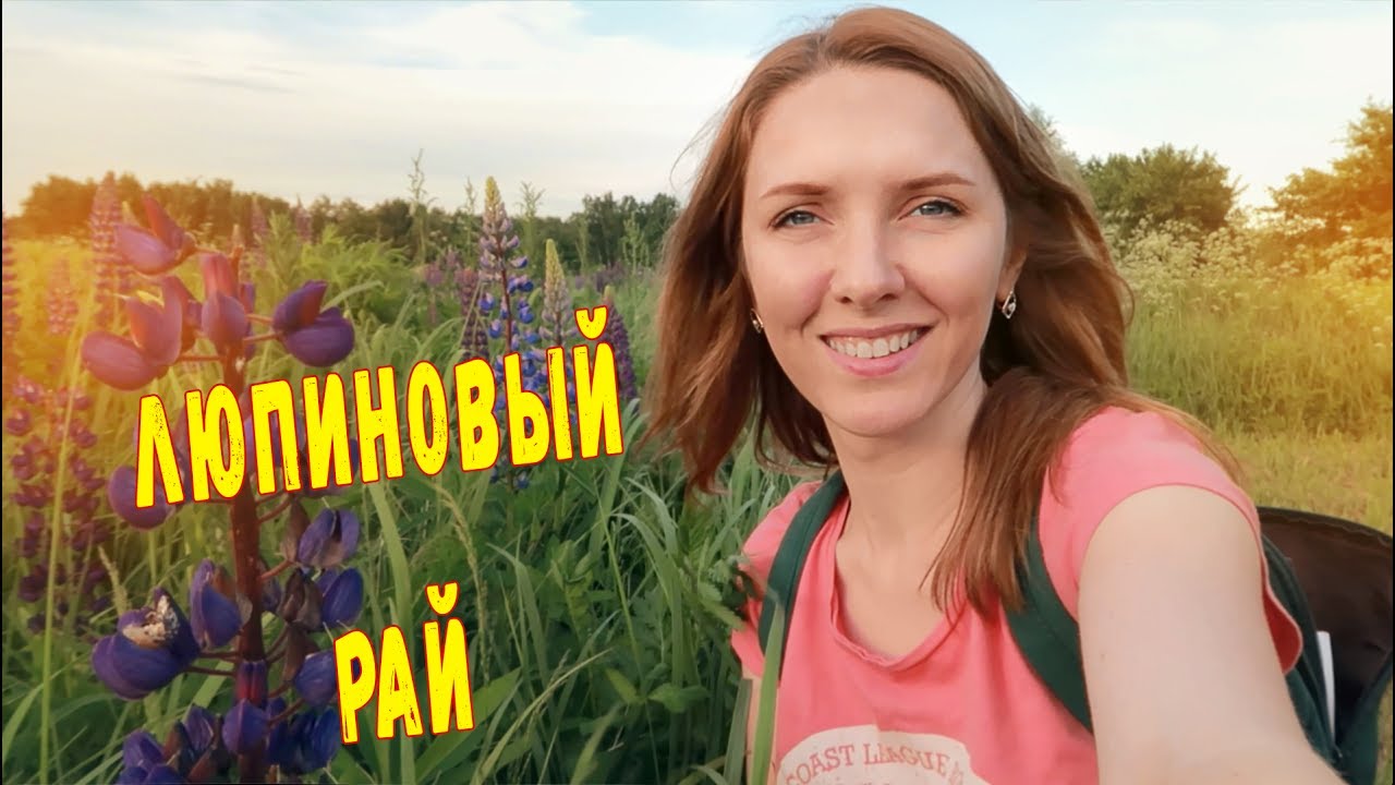 Люпиновый рай у дома | Самый страшный фильм который я когда либо видела